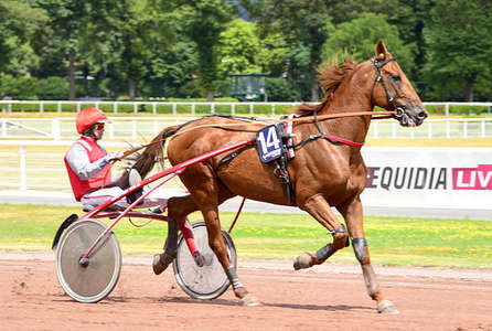 Actualités Hippiques